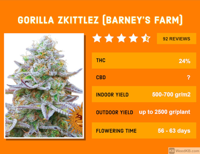 gorilla zkittles