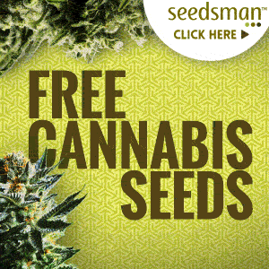 Buy Cannabis Seeds