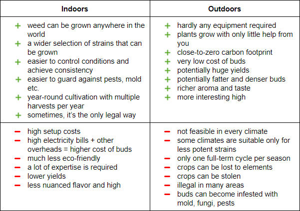 indoor vs outdoor weed