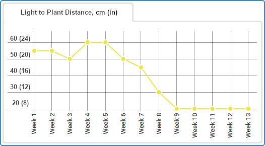 Gorilla Glue Auto diary, light distance chart