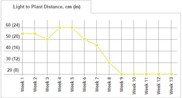 Gorilla Glue Auto diary, light distance chart