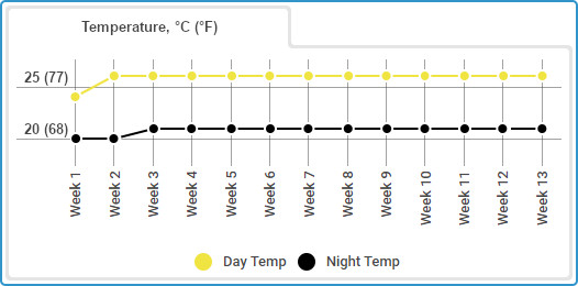 Gorilla Glue Autoflowering grow journal, temp chart