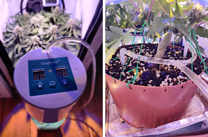 northern lights micro grow: automatic watering system for one small indoor plant