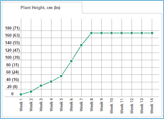 Gorilla Glue #4 Grow Journal and Week-by-Week Guide: Height chart