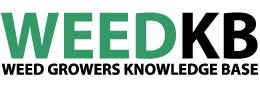 WeedKb - logo