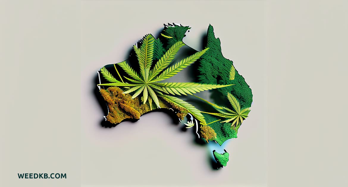 Marijuana Seed Australia