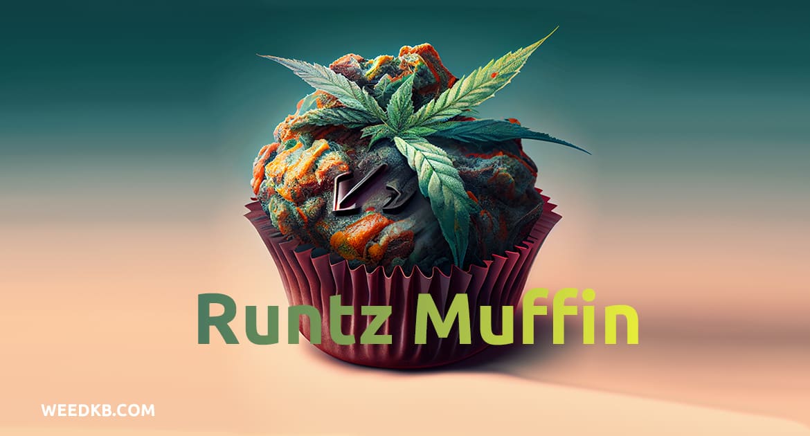 Runtz Muffin