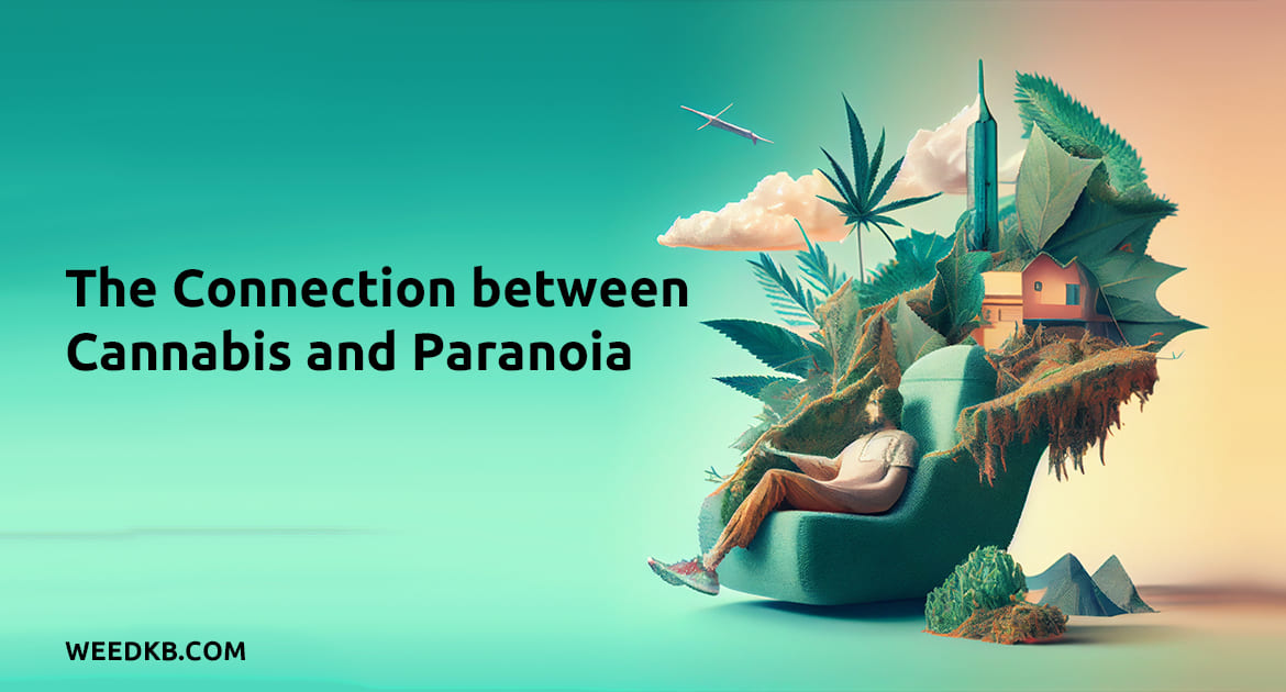 The Connection between Cannabis and Paranoia